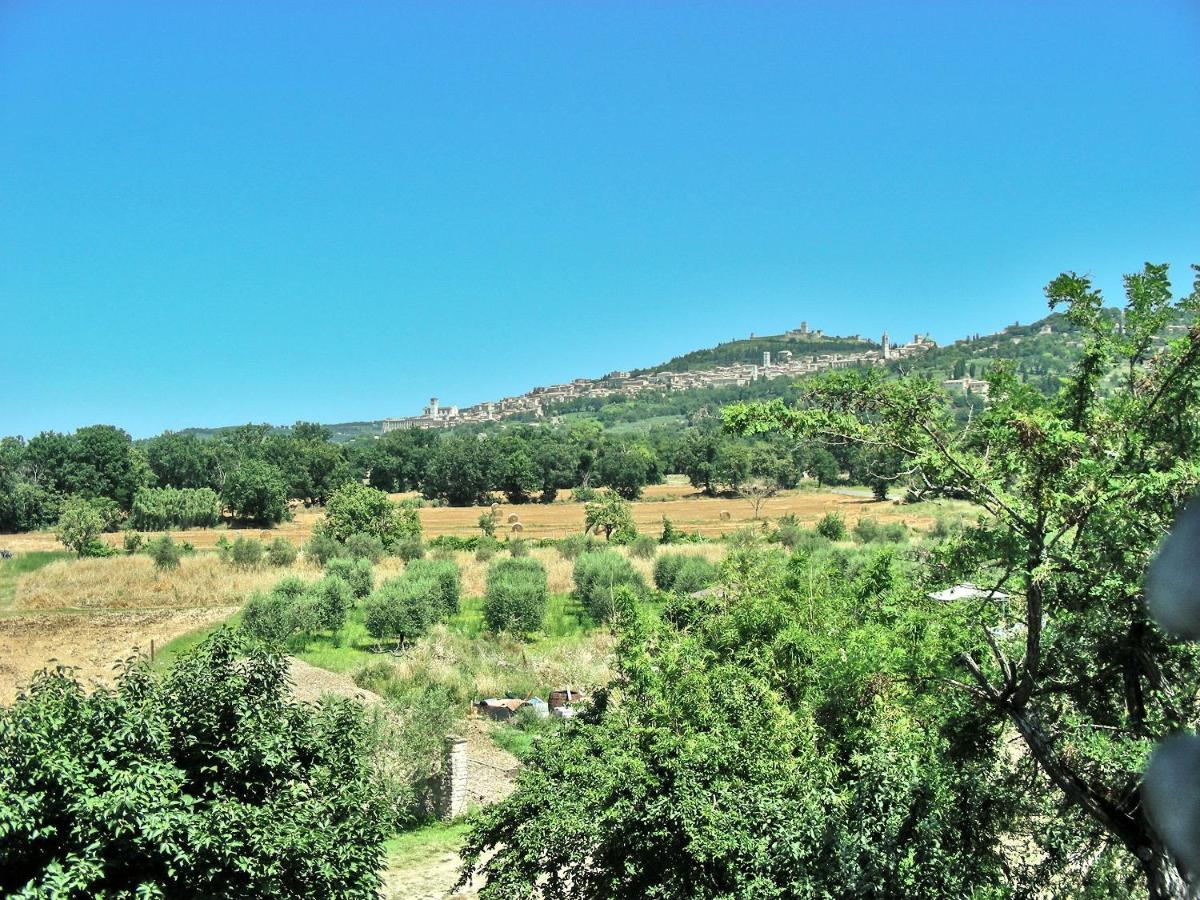 Torrematta * Assisi