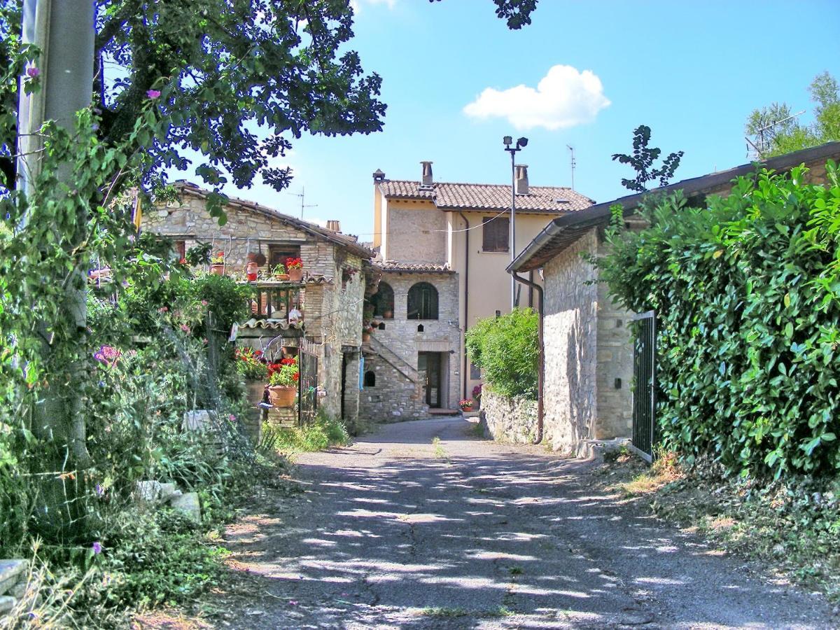 Torrematta *