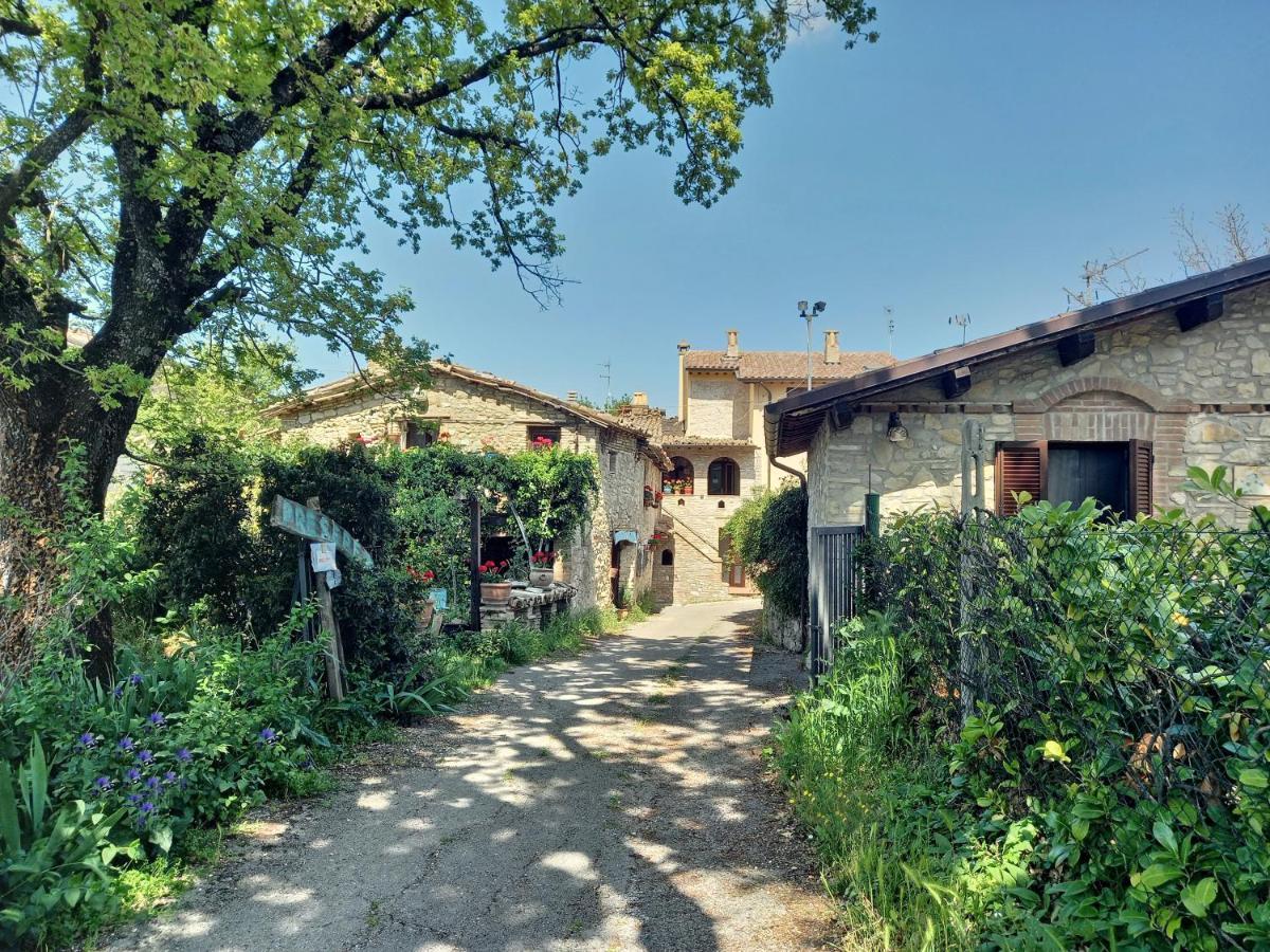 Torrematta Assisi